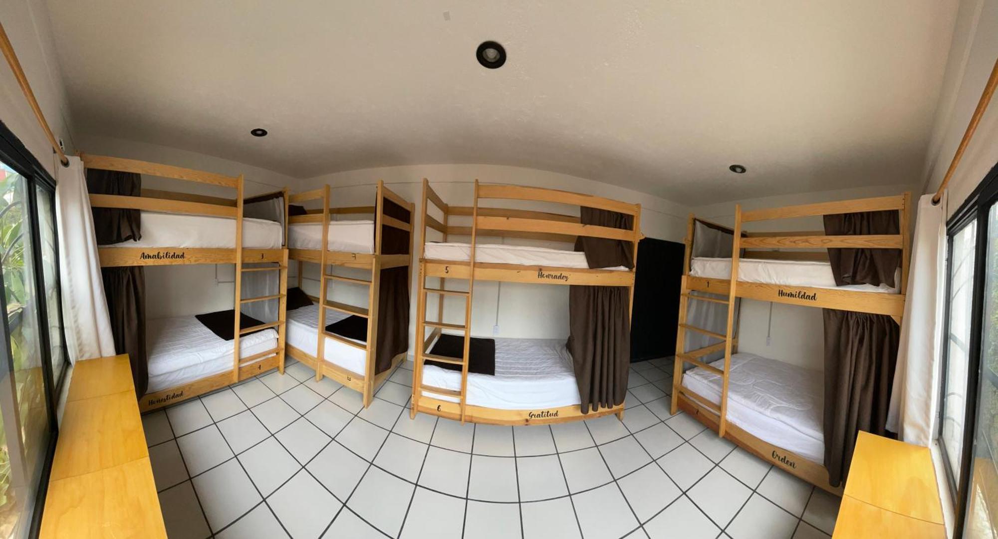 Hostal Roma Condesa Kota Meksiko Bagian luar foto